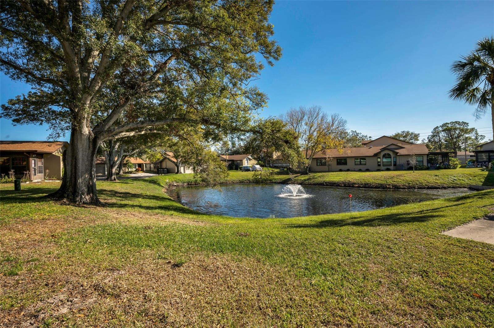 1669 FRY CT