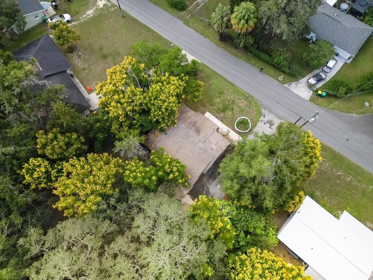 1006 LEROY BELLAMY RD