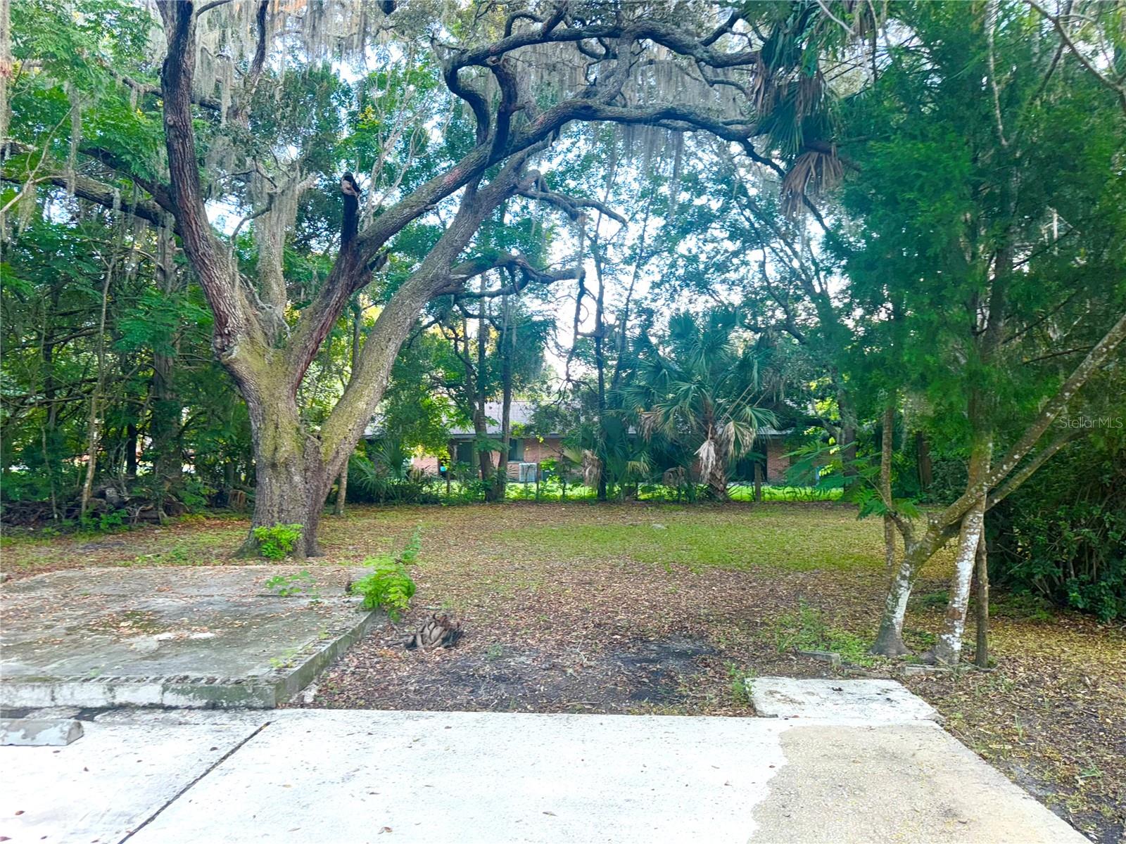 1006 LEROY BELLAMY RD