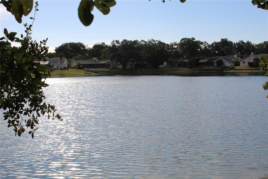 2816 TANGELO WAY
