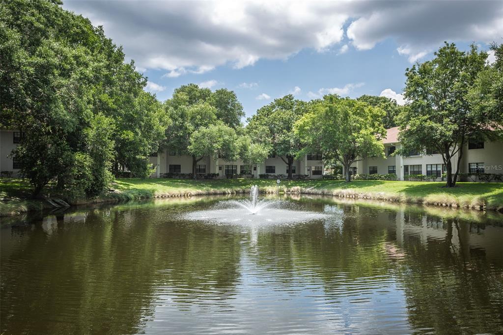 2119 ELM STREET Unit: 110
