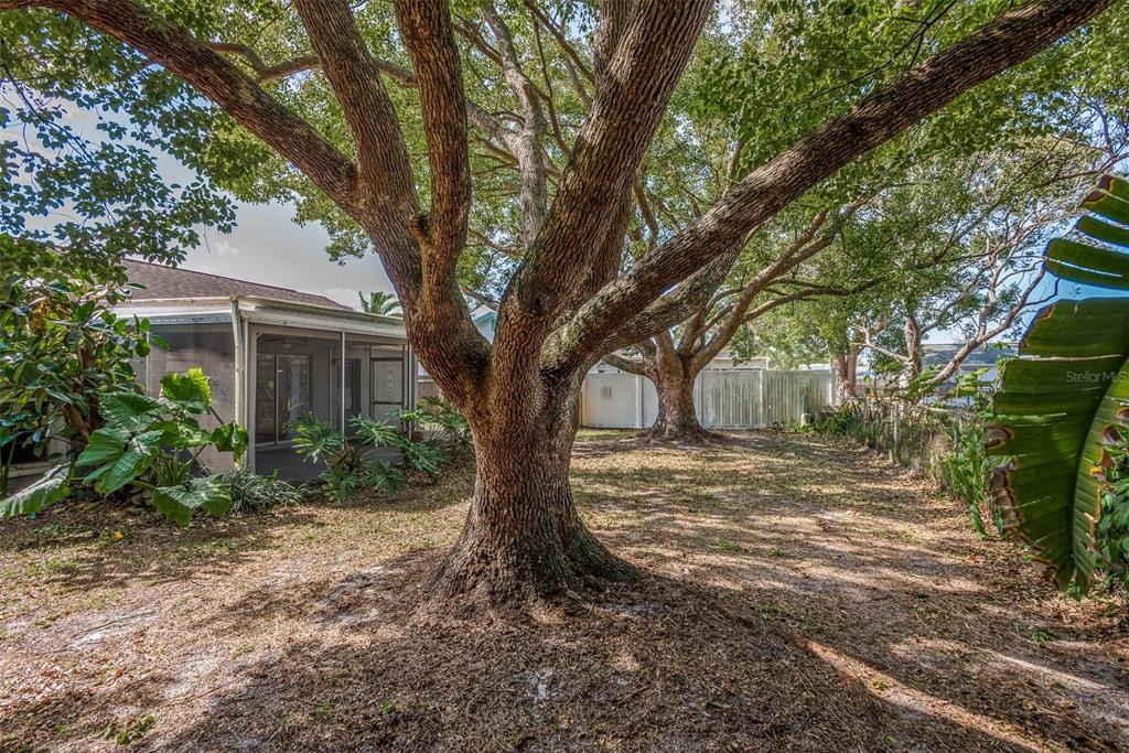 7449 COMO DRIVE