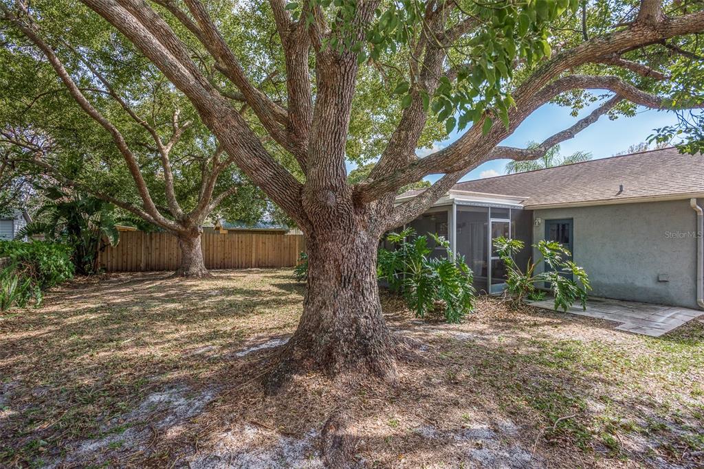 7449 COMO DRIVE