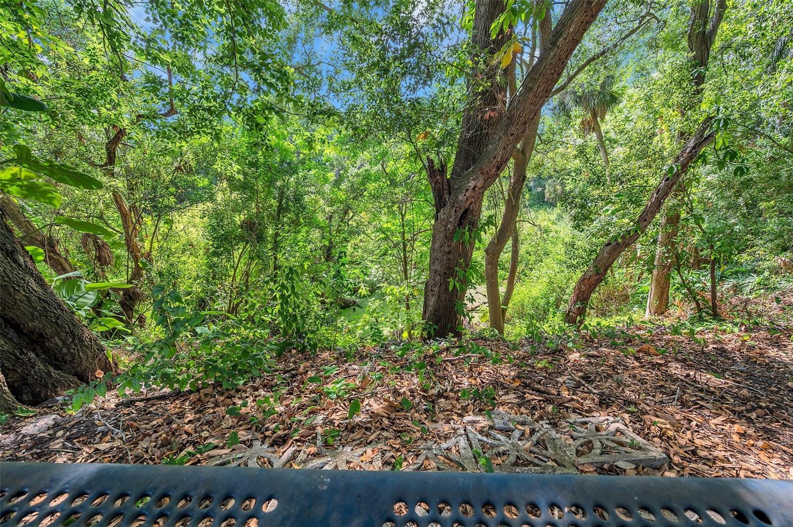 3401 CHICKADEE DRIVE