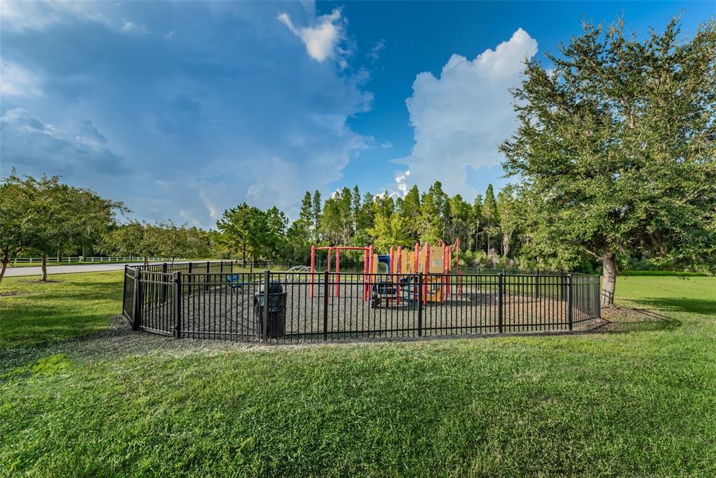 12935 SOLOLA WAY