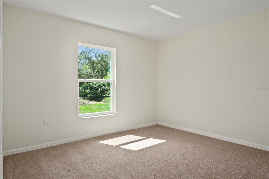 12156 IPSWICH SPARROW ROAD