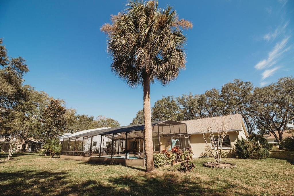 8526 BERKLEY DRIVE