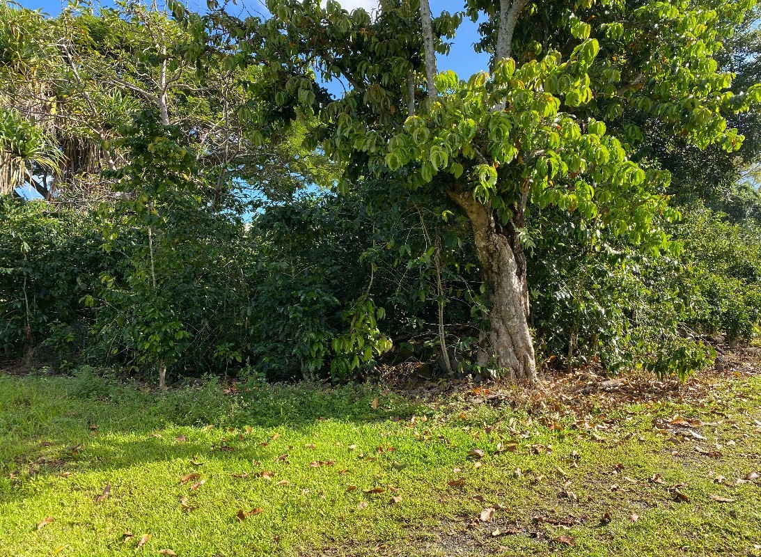 76-5883 MAMALAHOA HIGHWAY