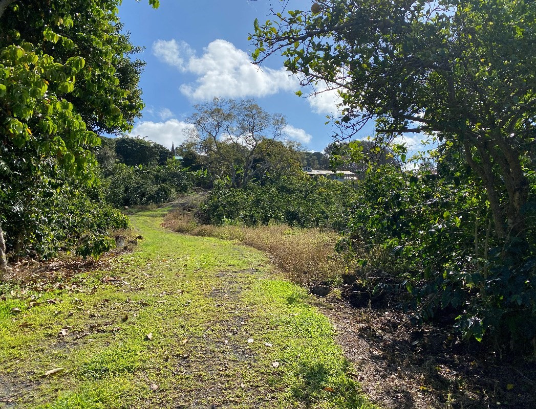 76-5883 MAMALAHOA HIGHWAY