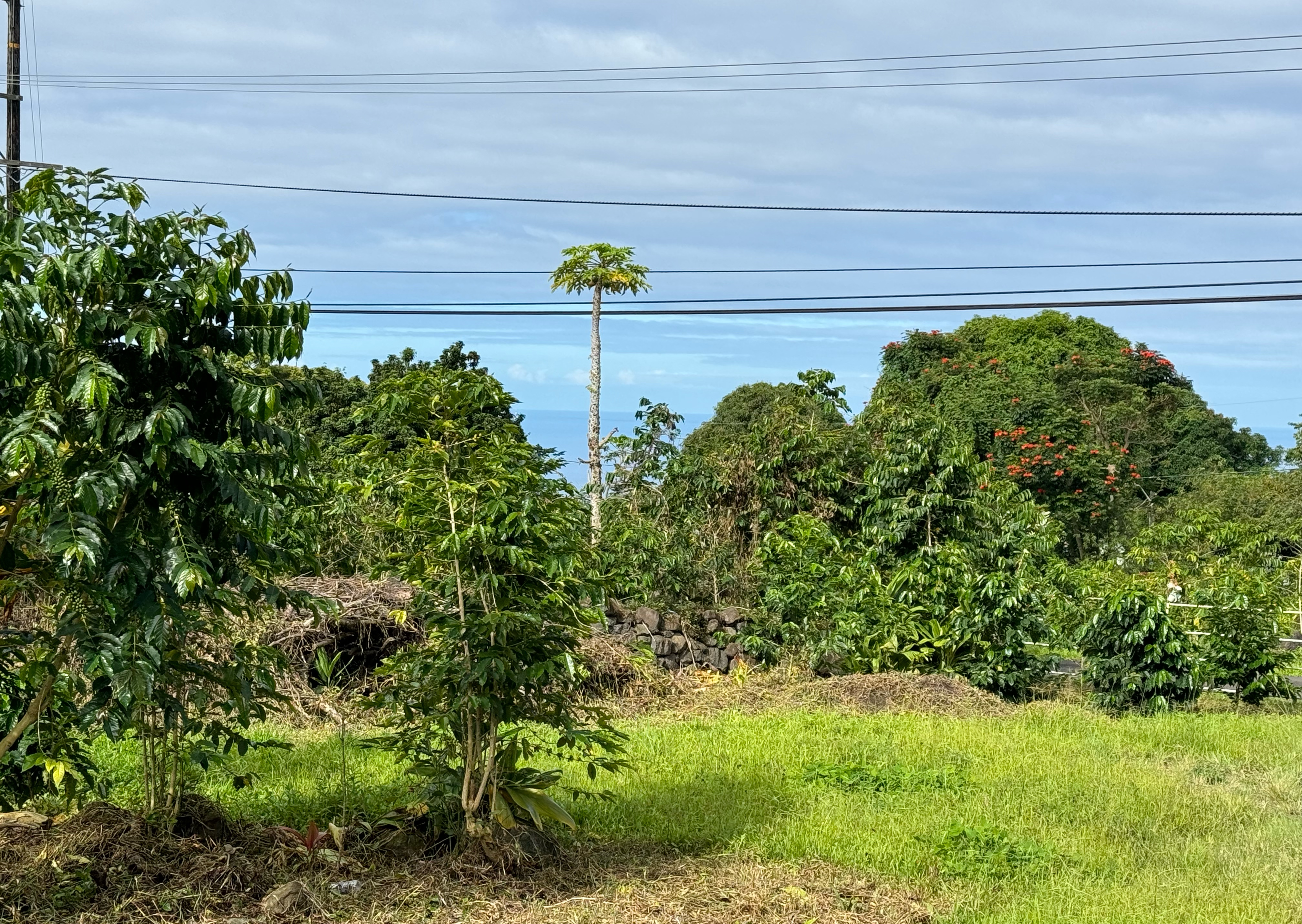 76-5883 MAMALAHOA HIGHWAY