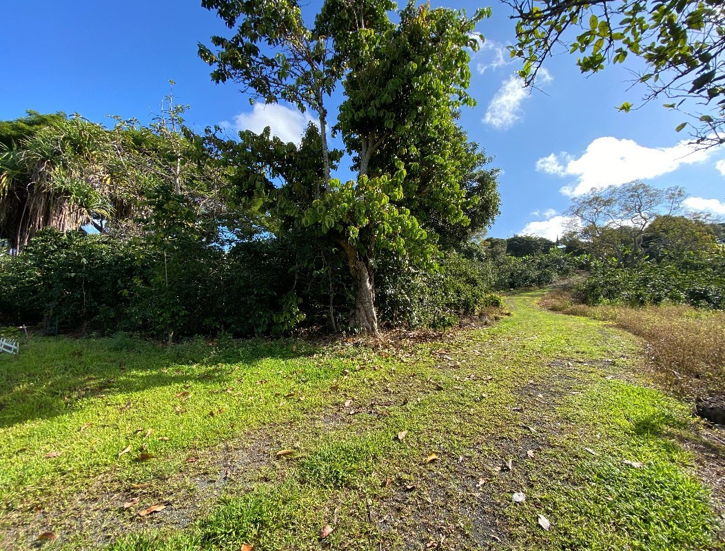 76-5883 MAMALAHOA HIGHWAY