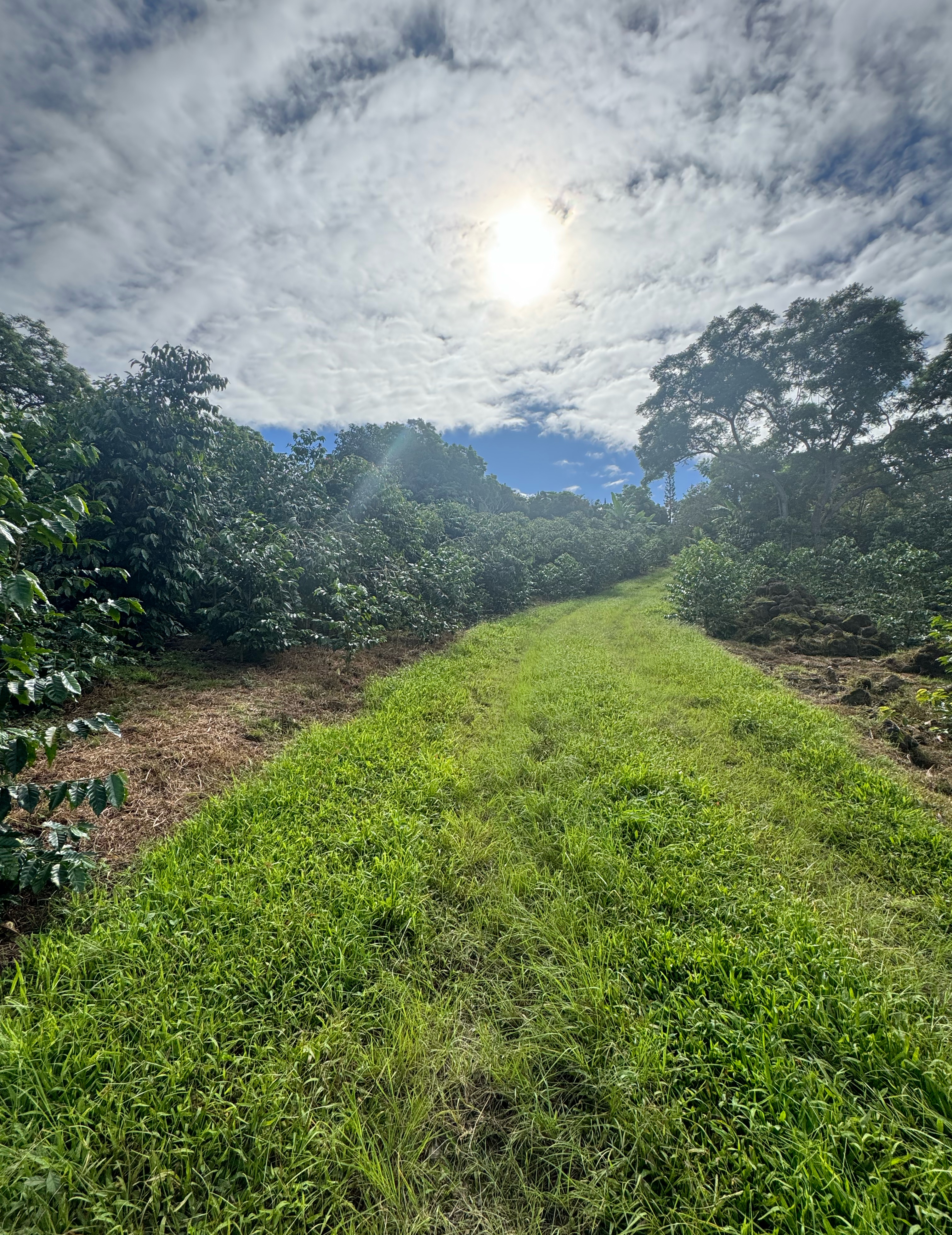 76-5883 MAMALAHOA HIGHWAY