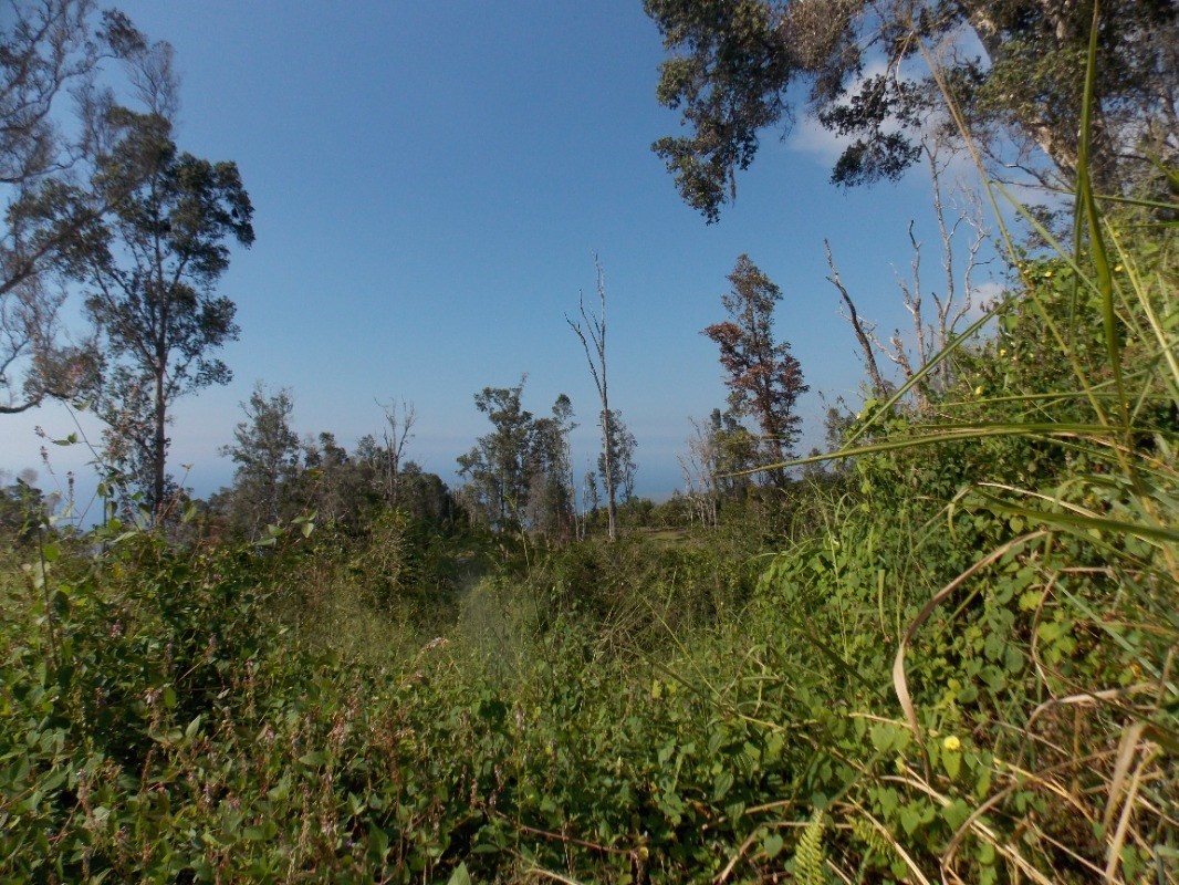 87-3270 HAWAII BELT RD 0