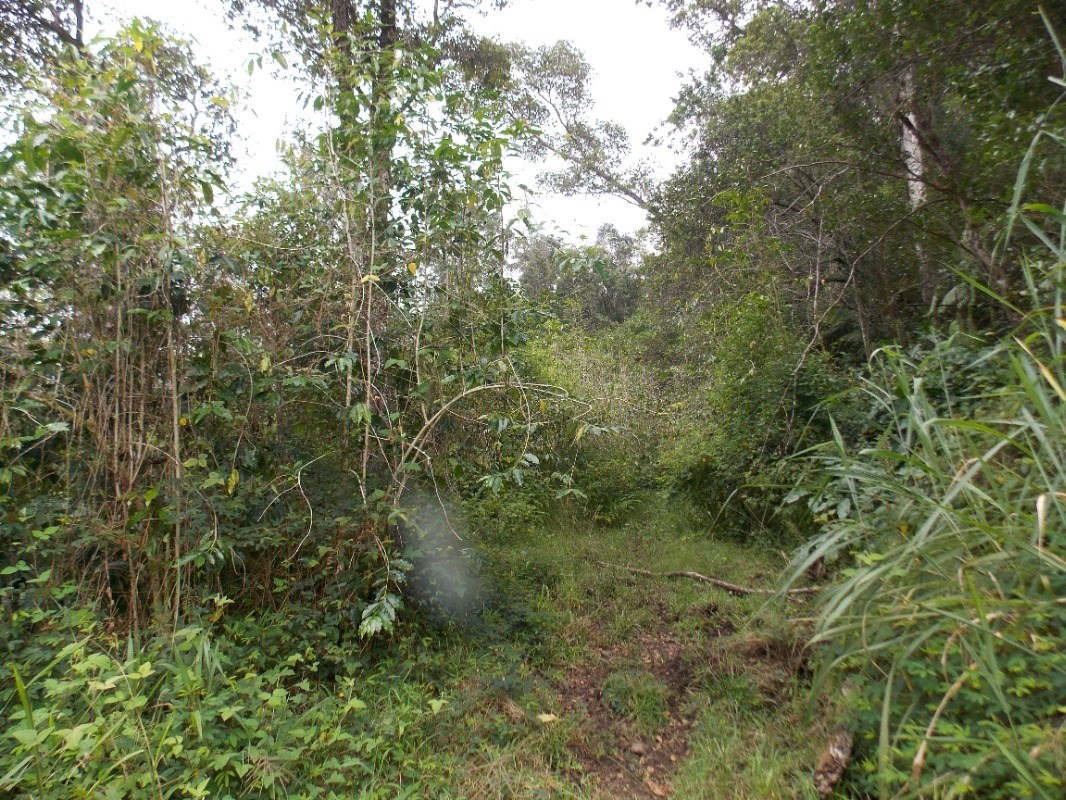 87-3270 HAWAII BELT RD 0