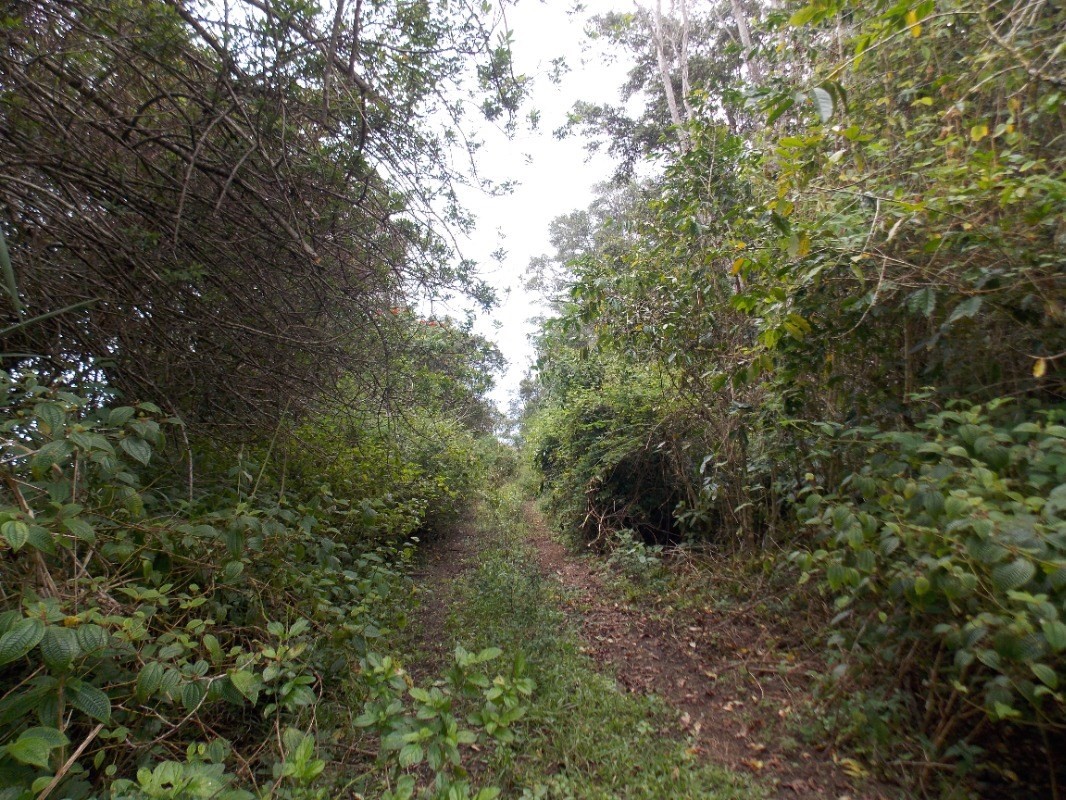 87-3270 HAWAII BELT RD 0