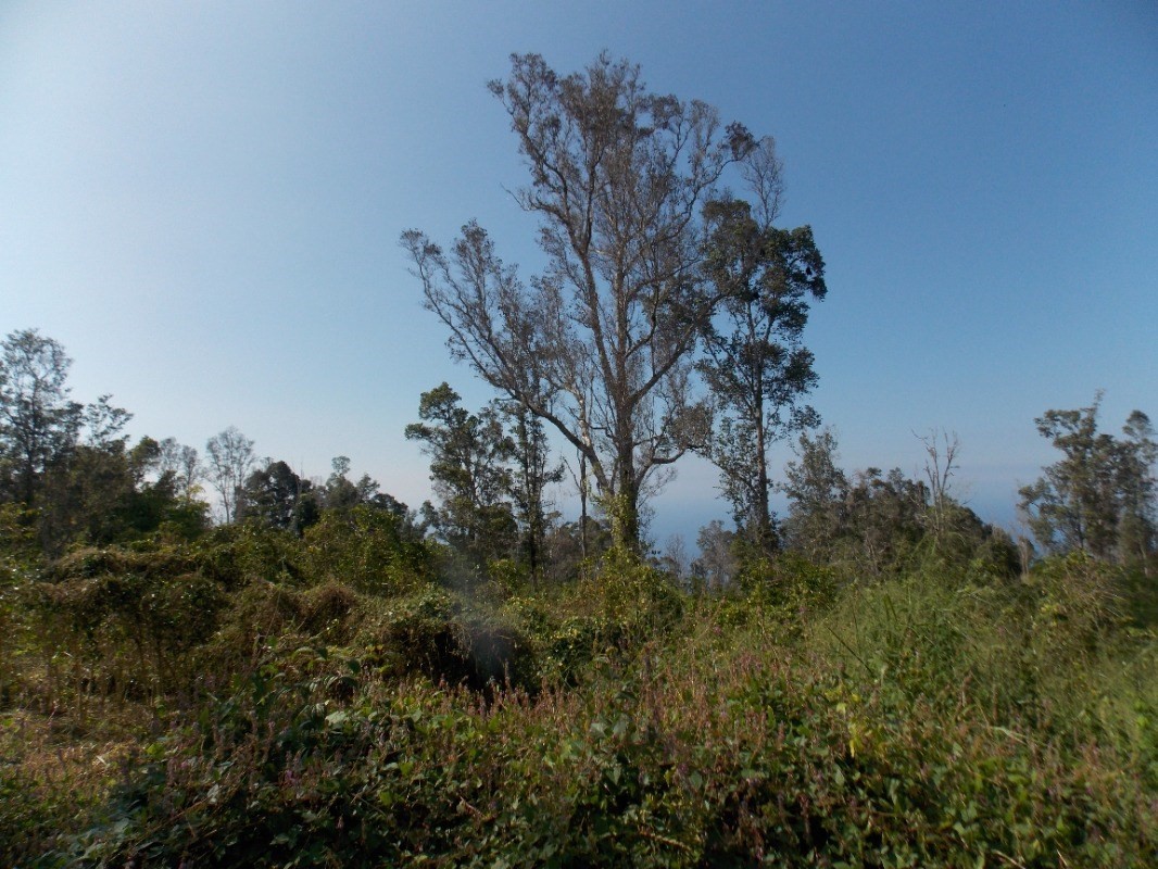 87-3270 HAWAII BELT RD 0