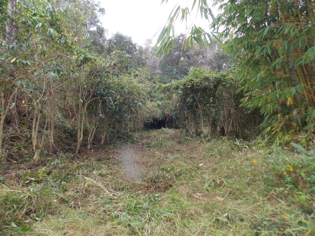 87-3270 HAWAII BELT RD 0