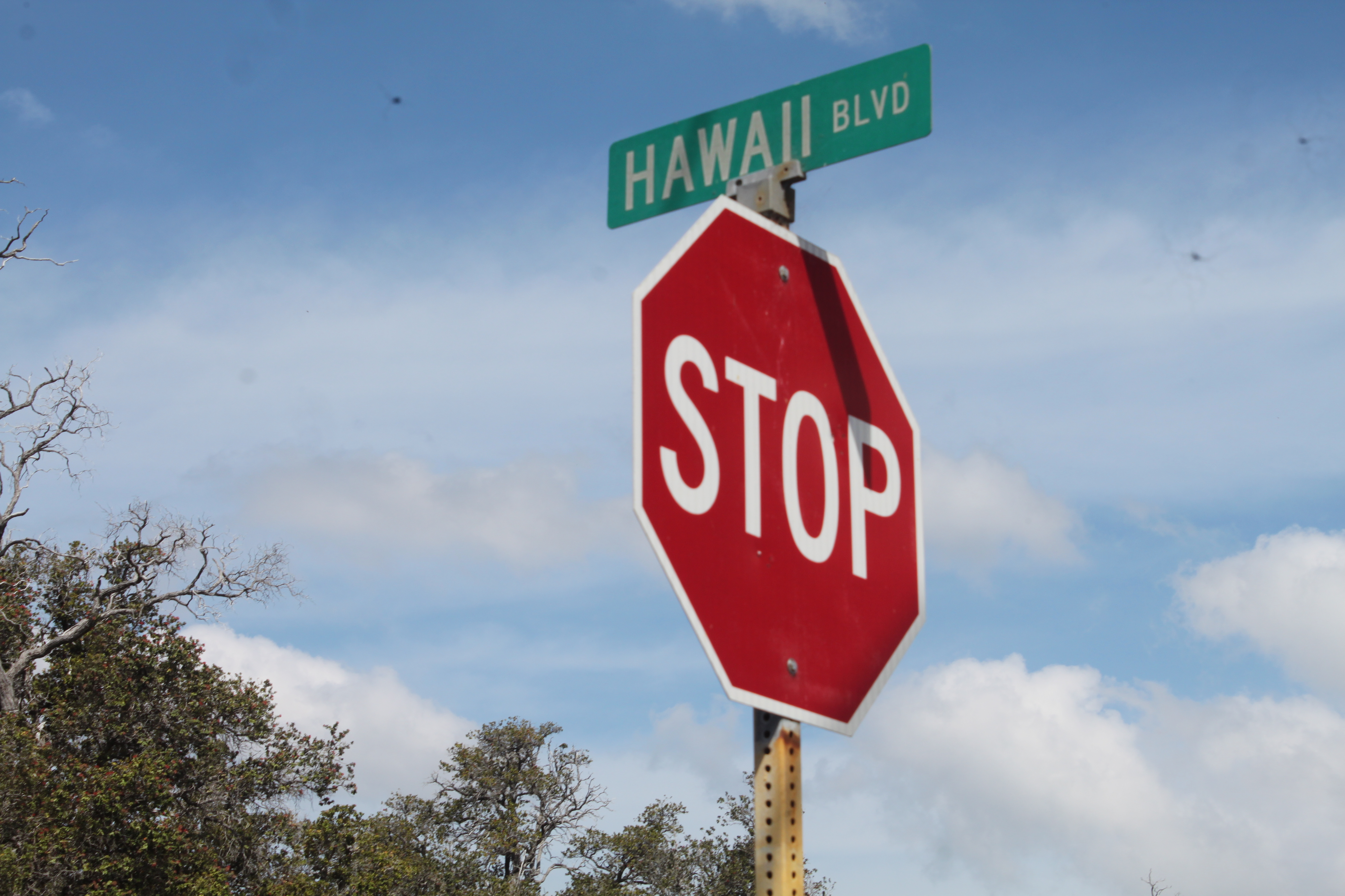 HAWAII BLVD