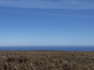 Naalehu
