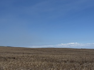 Naalehu