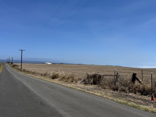Naalehu