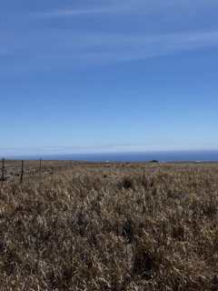 Naalehu