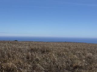 Naalehu