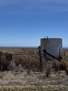 Naalehu