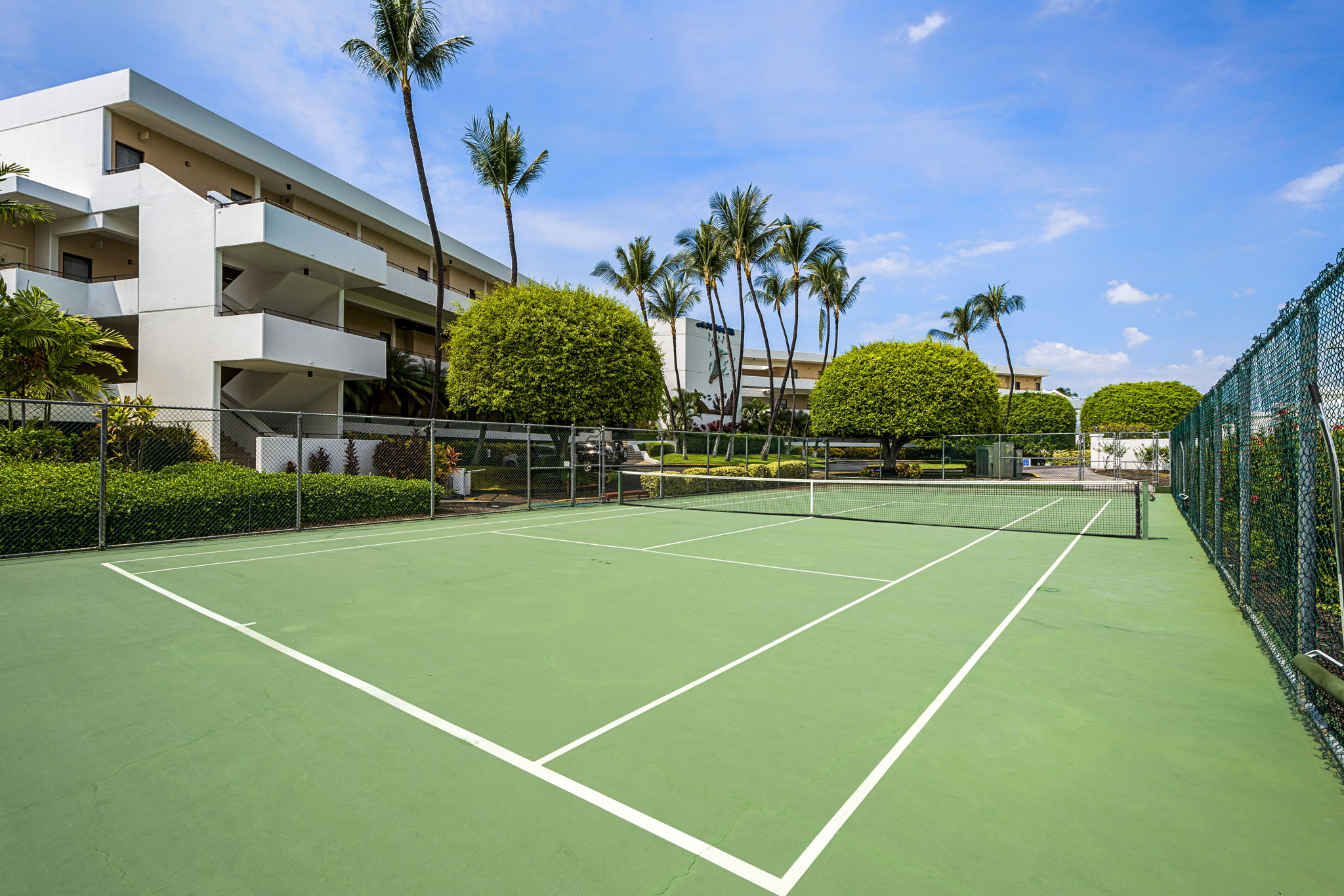 75-6040 ALII DR 504