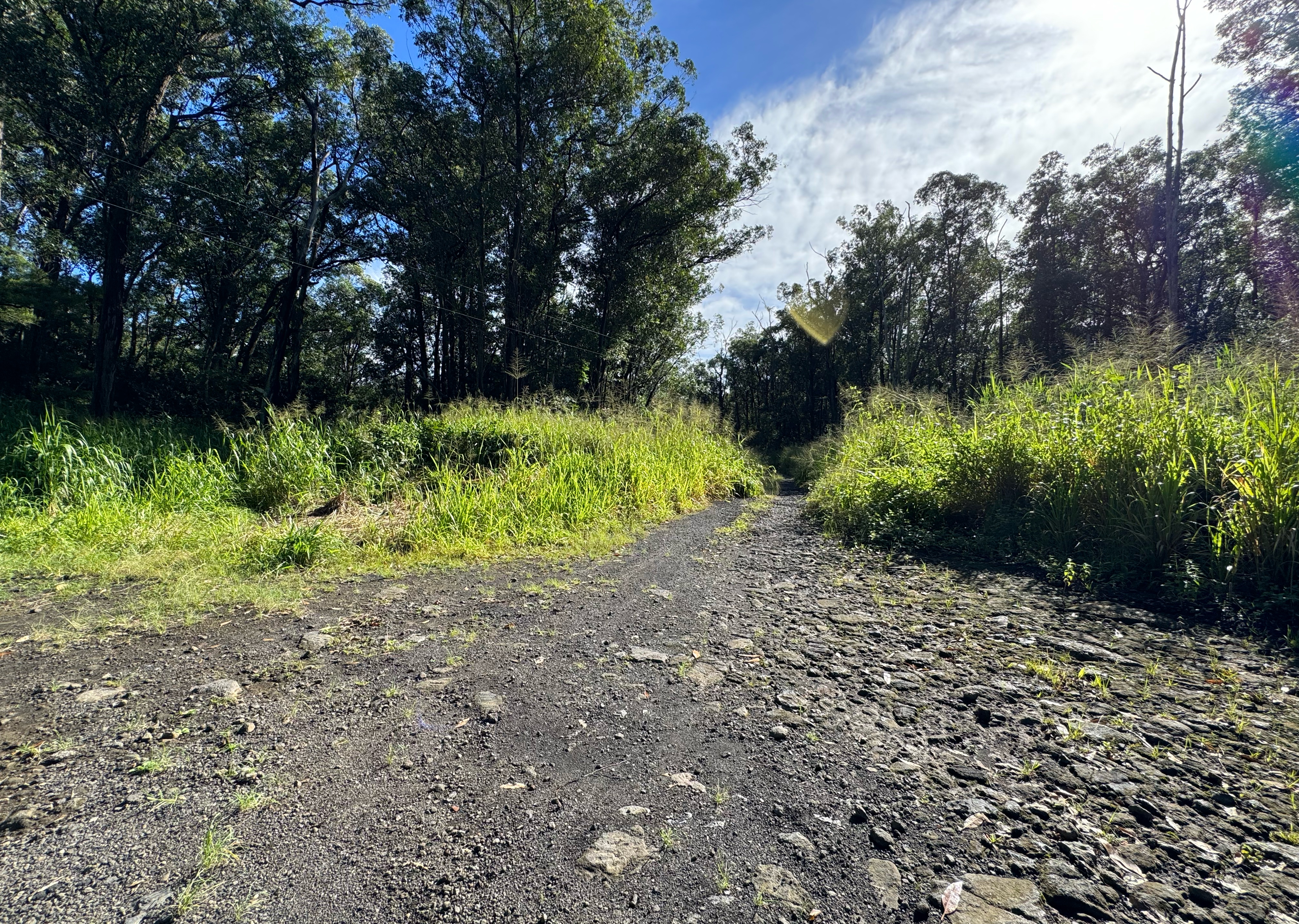 WOOD VALLEY RD