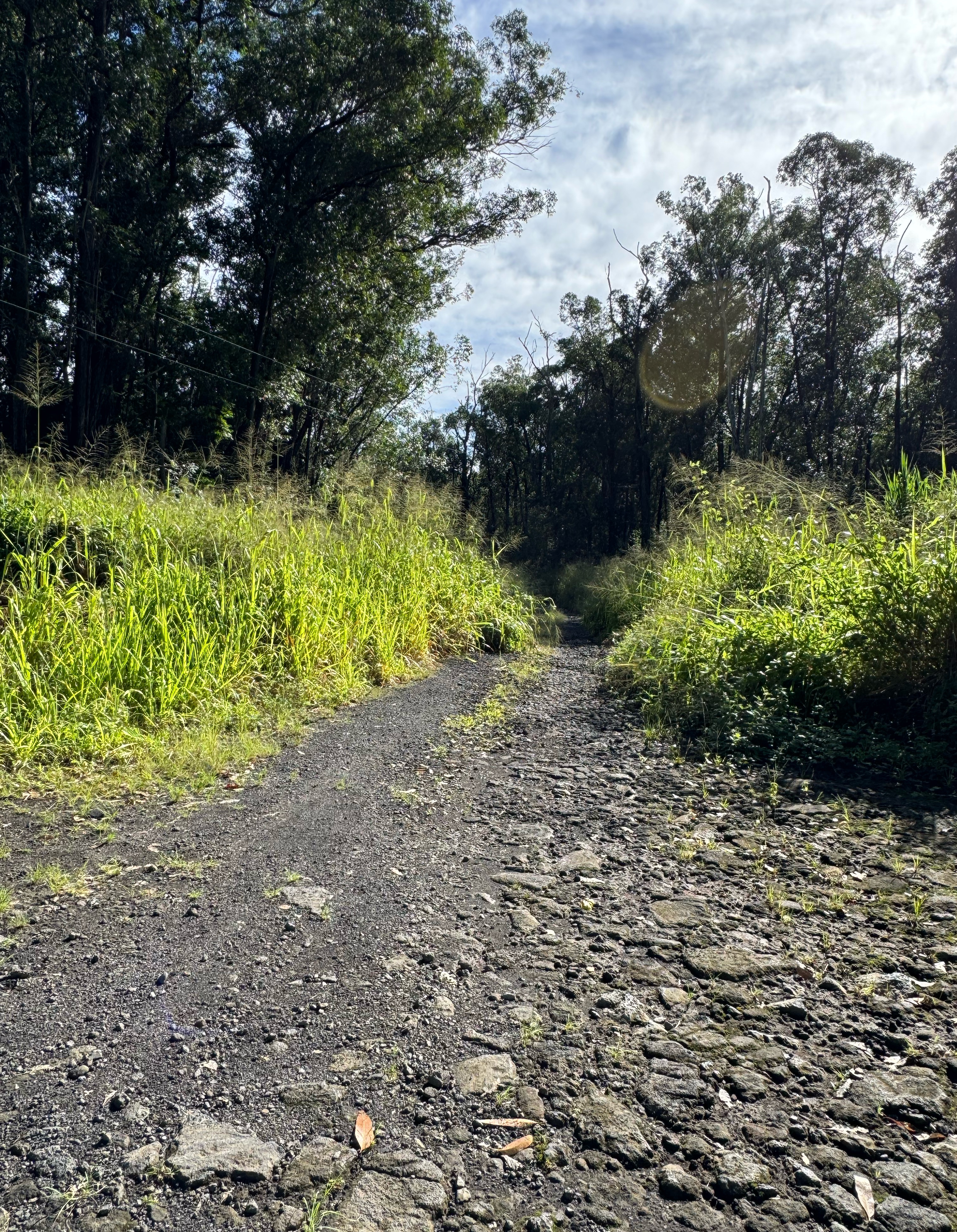 WOOD VALLEY RD