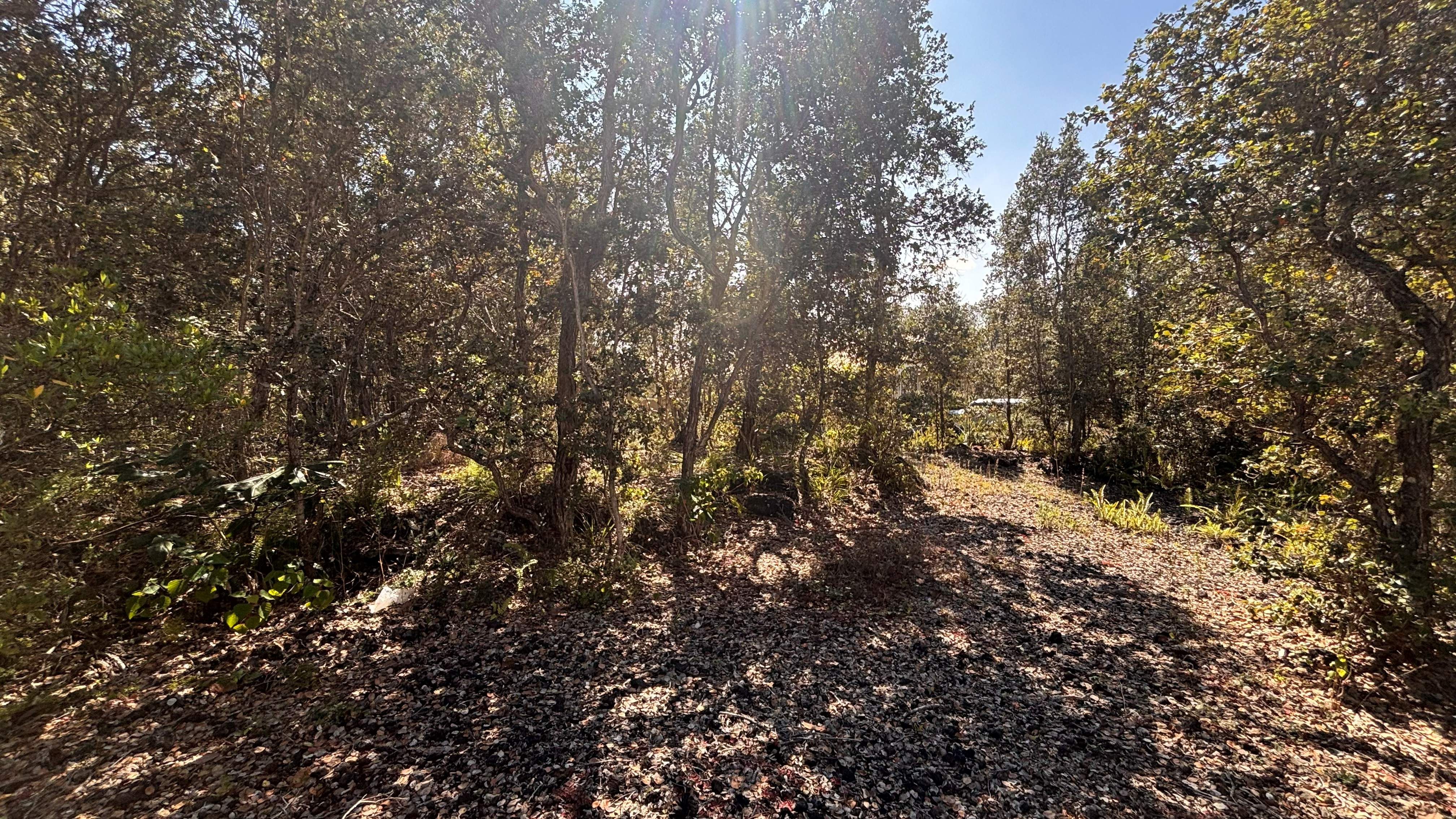 92-9176 PARADISE PKWY