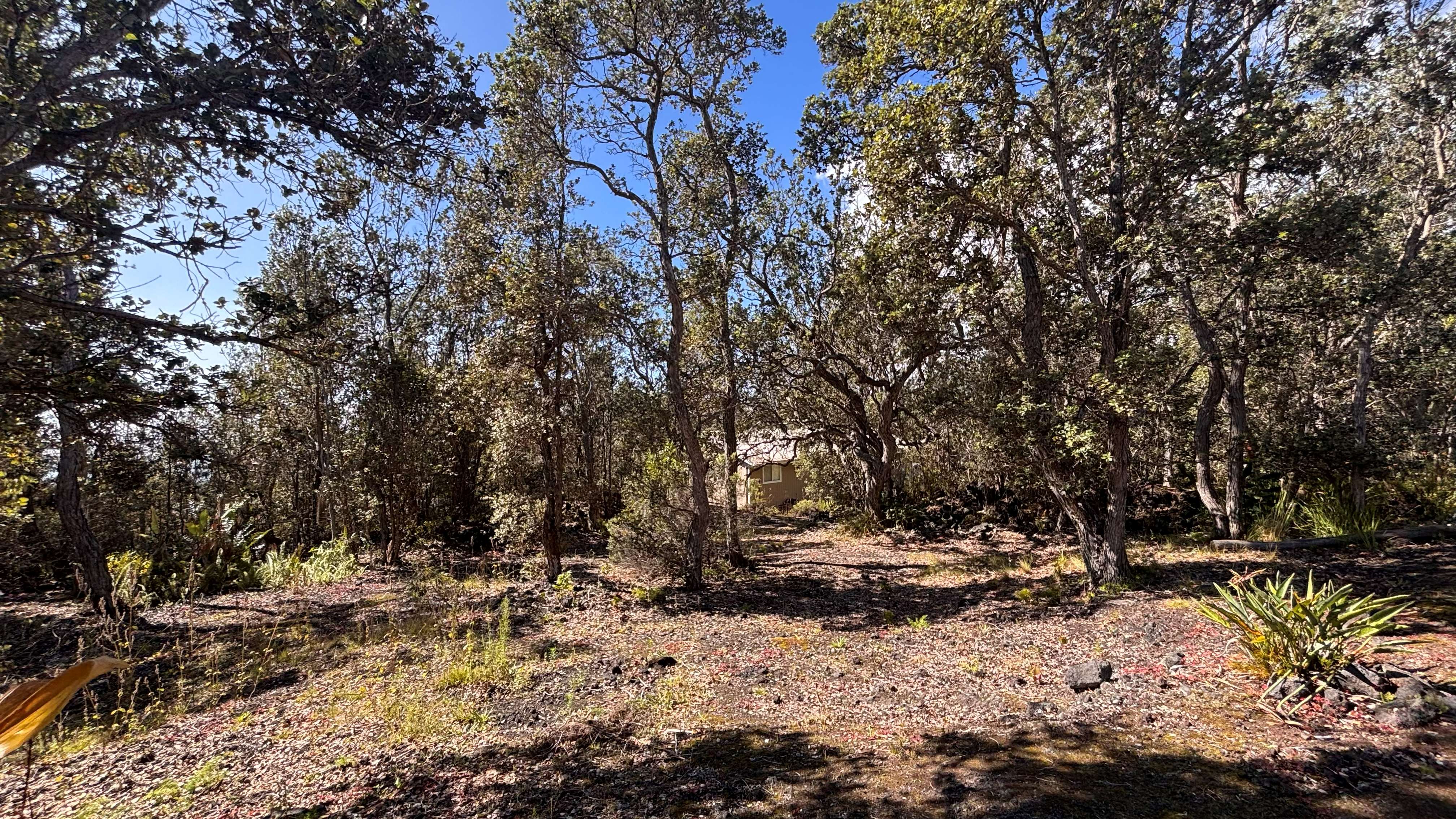 92-9176 PARADISE PKWY