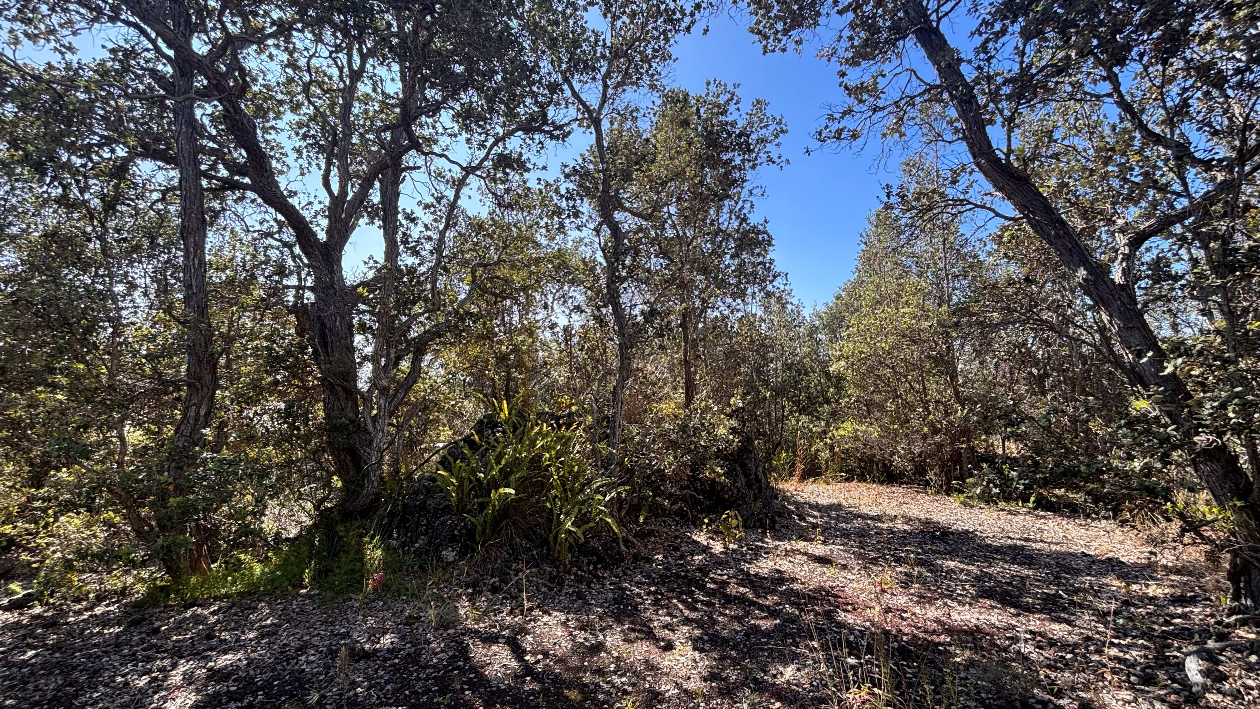 92-9176 PARADISE PKWY