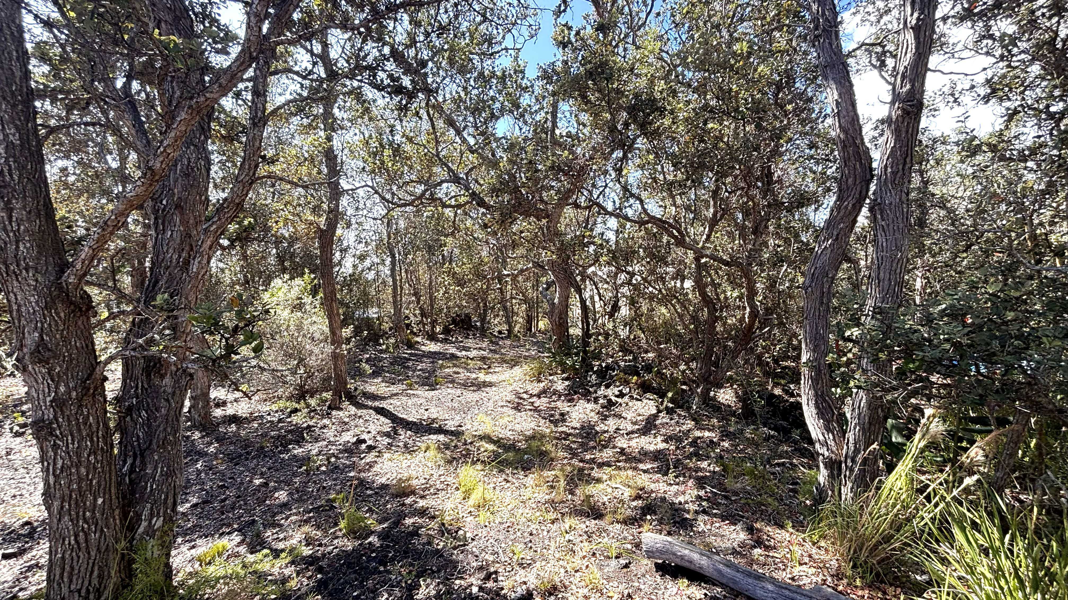 92-9176 PARADISE PKWY