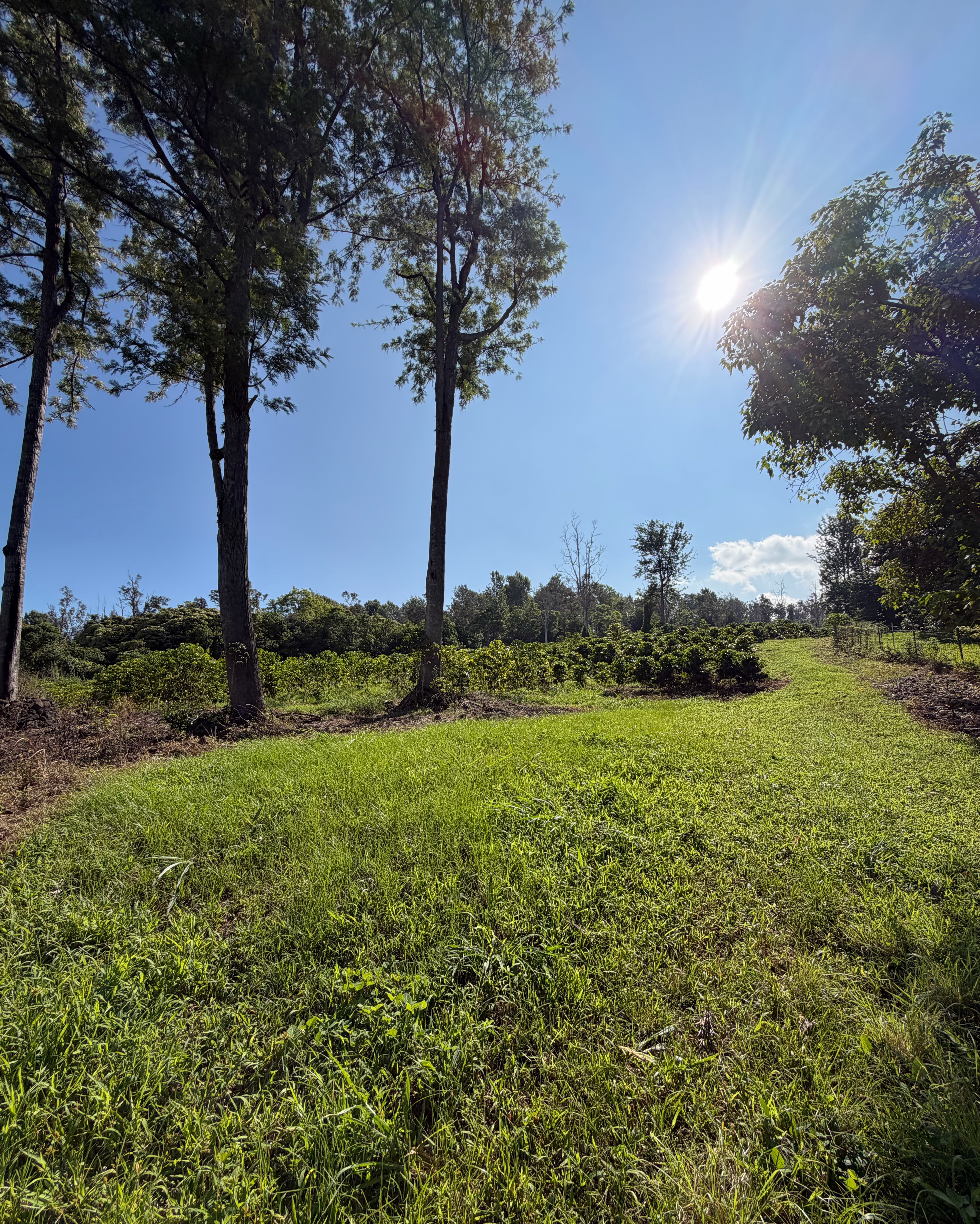 73-4245 HAWAII BELT RD