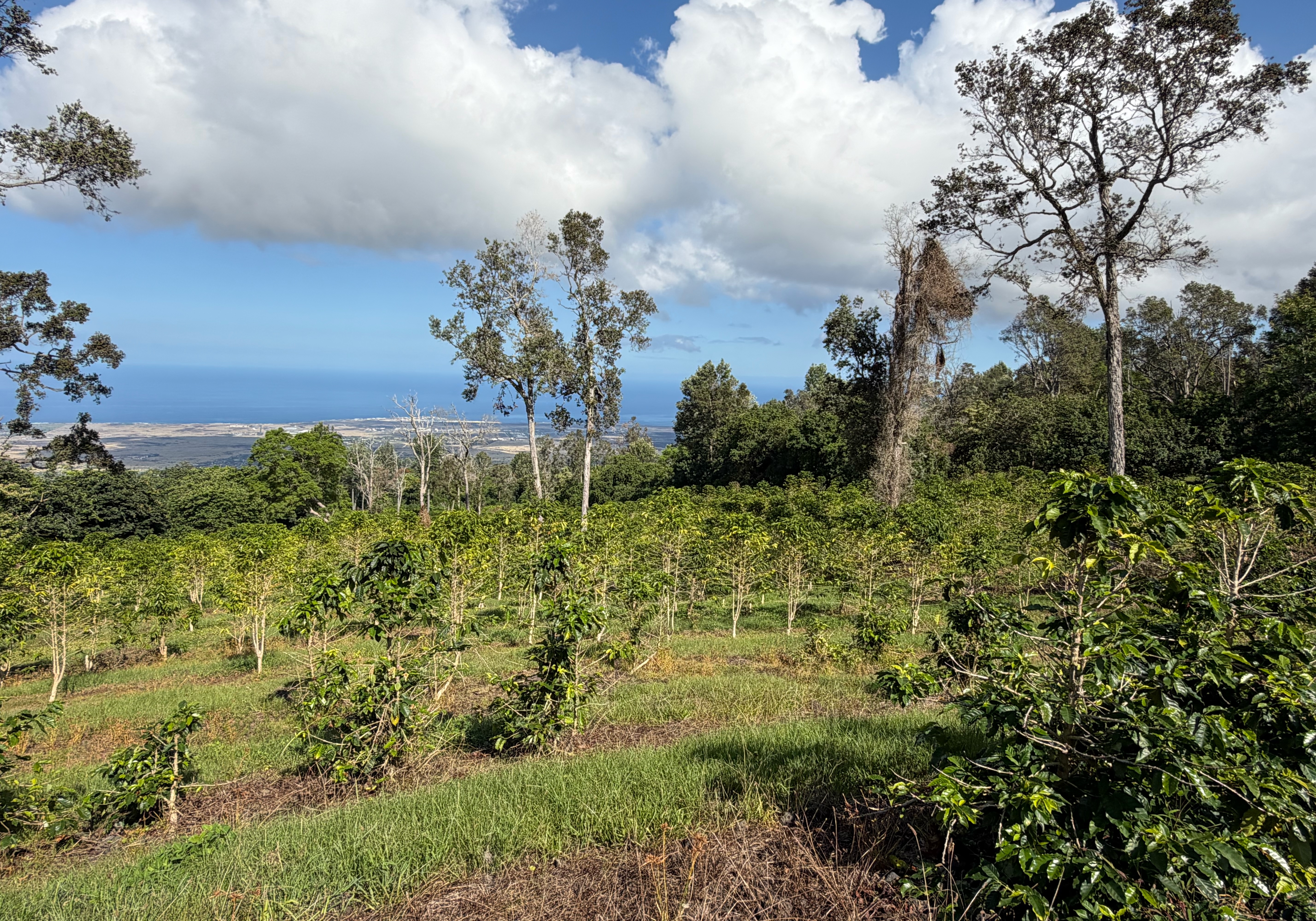 73-4245 HAWAII BELT RD