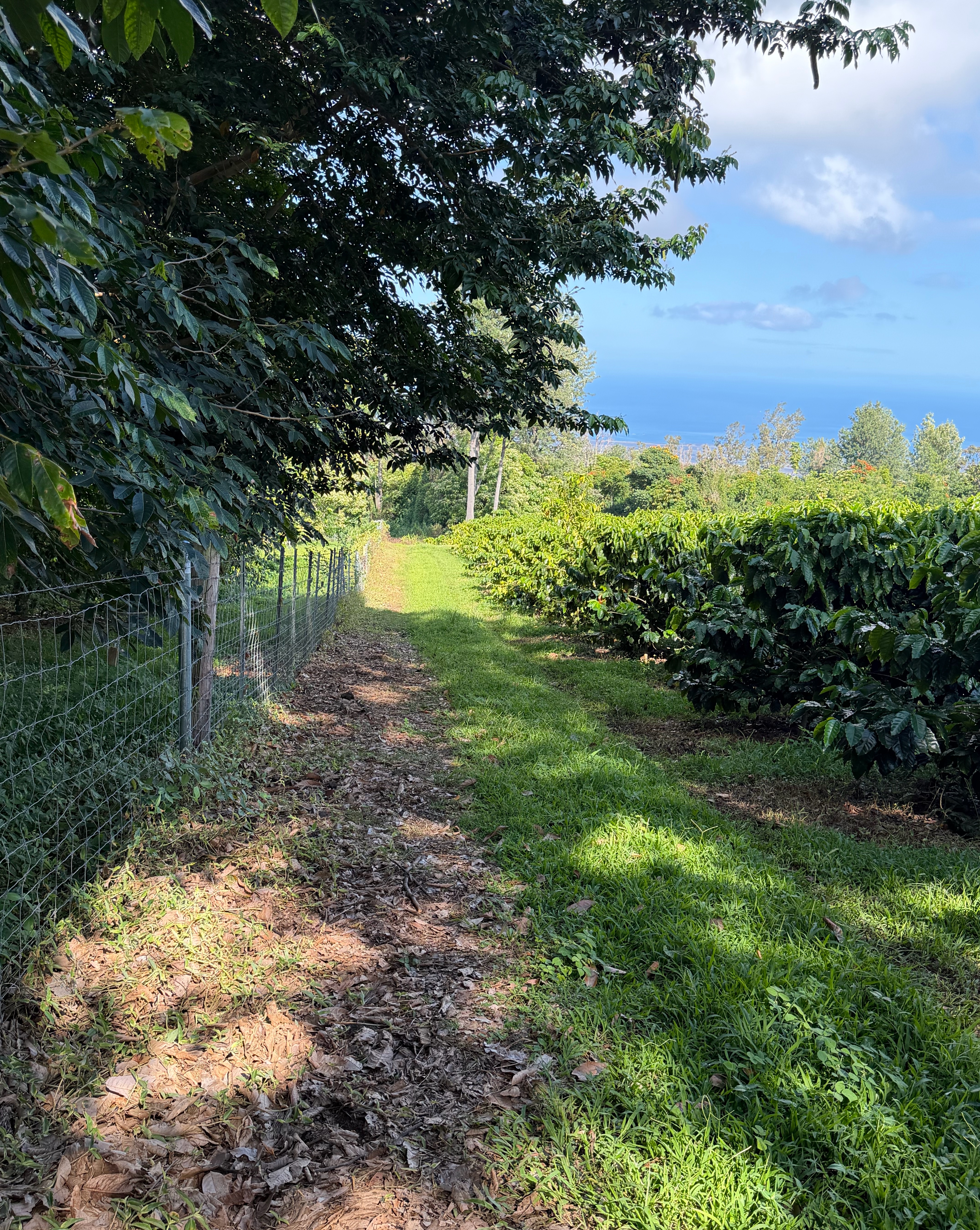 73-4245 HAWAII BELT RD