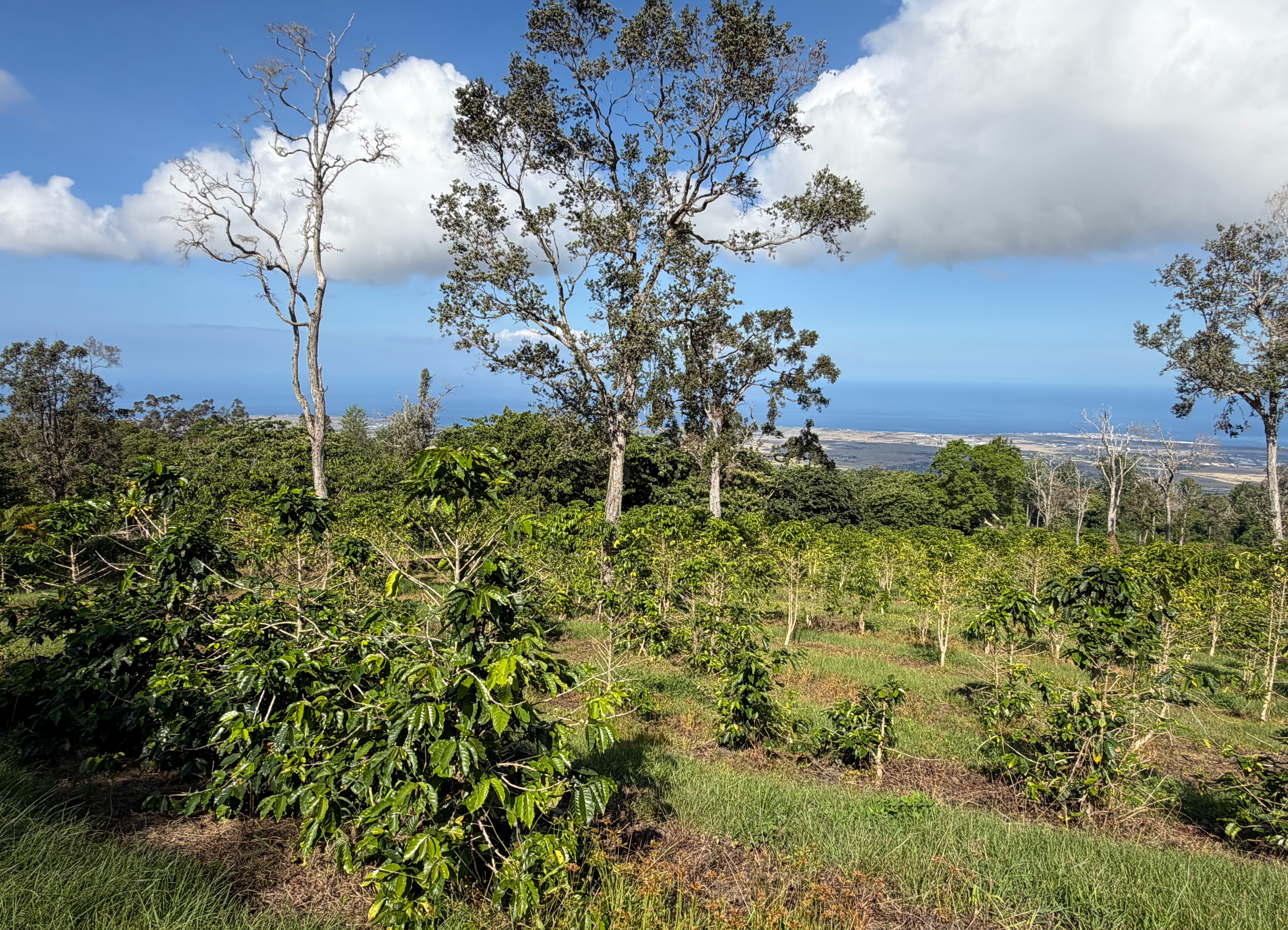 73-4245 HAWAII BELT RD