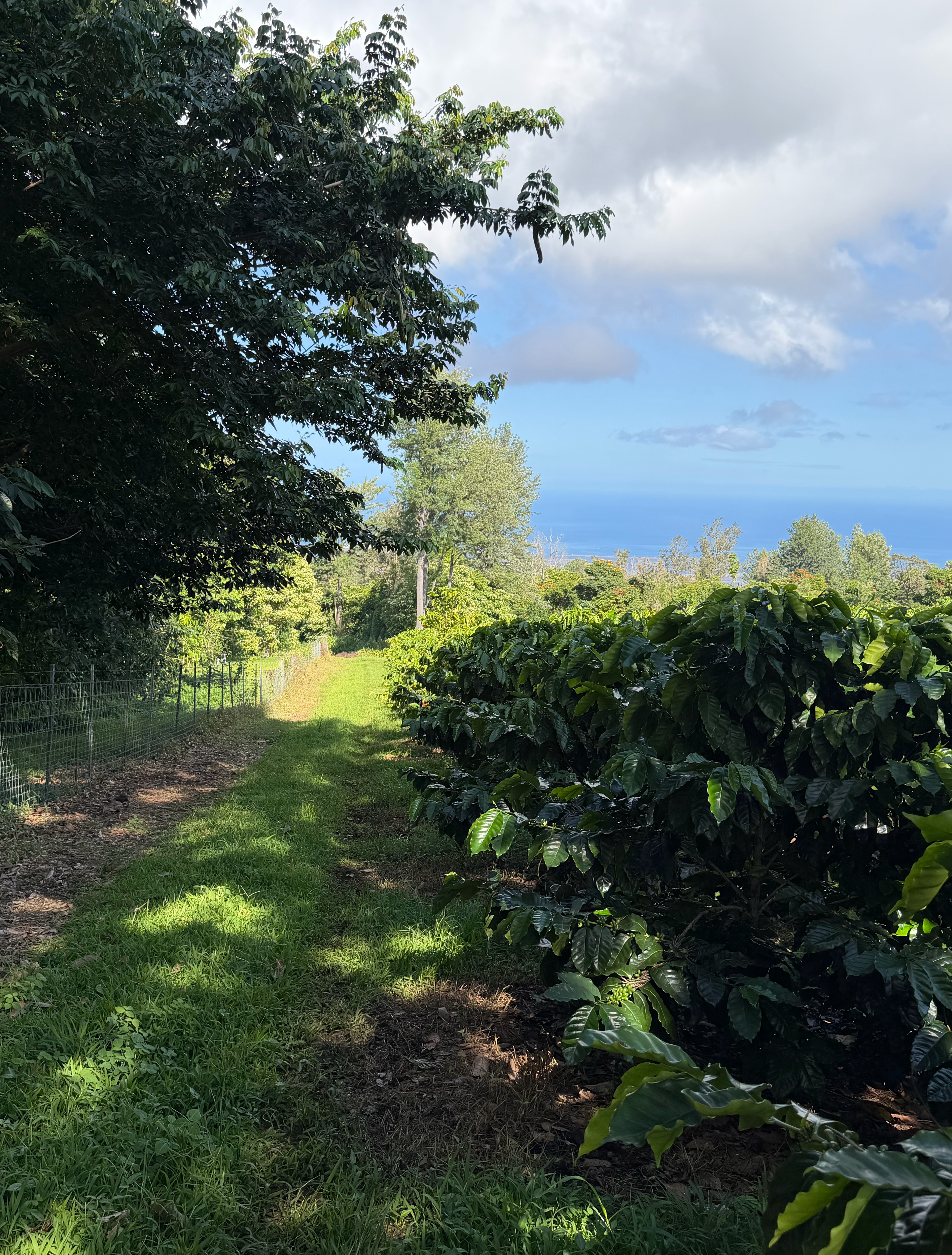 73-4245 HAWAII BELT RD