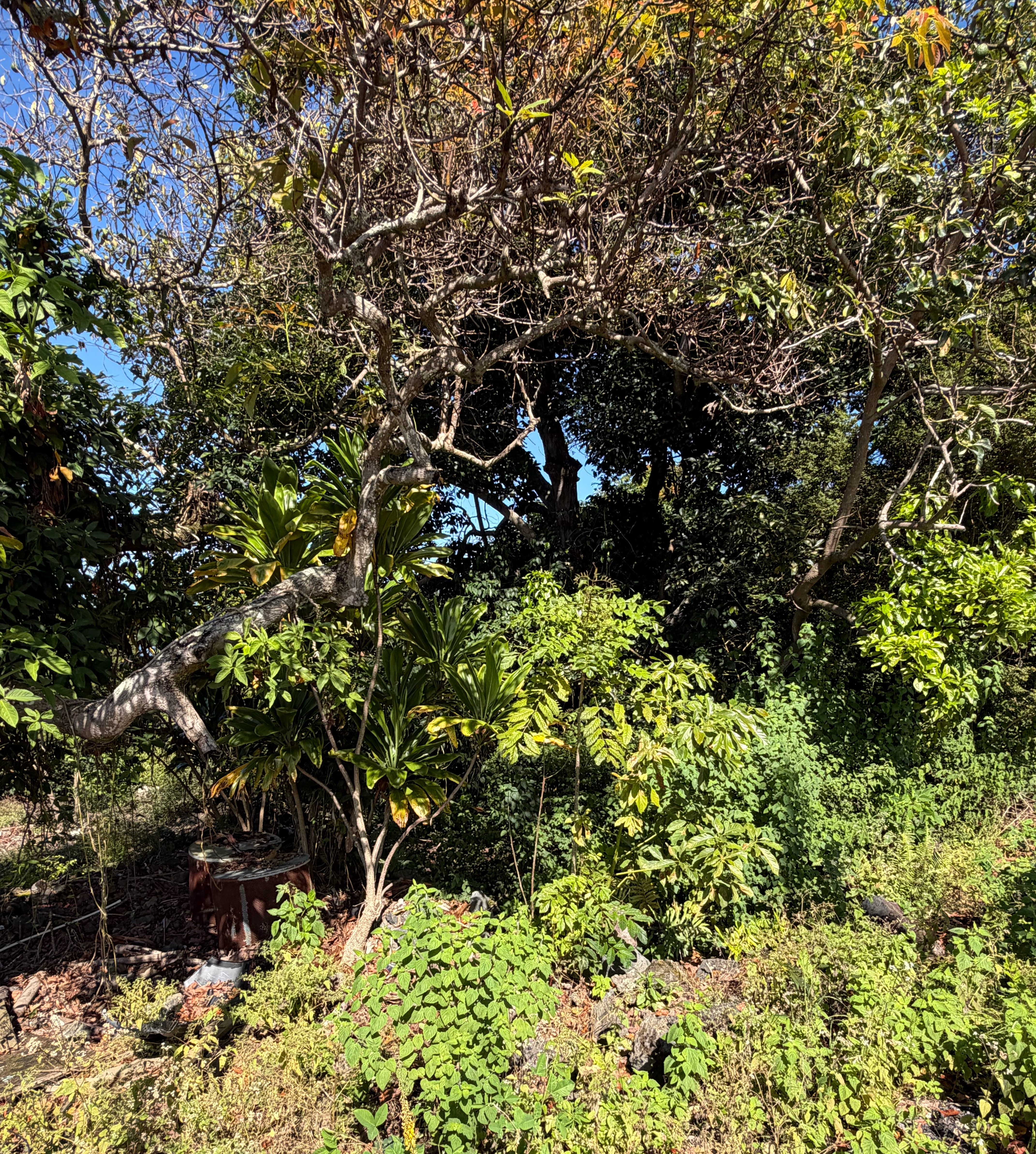 75-5222 MAMALAHOA HIGHWAY