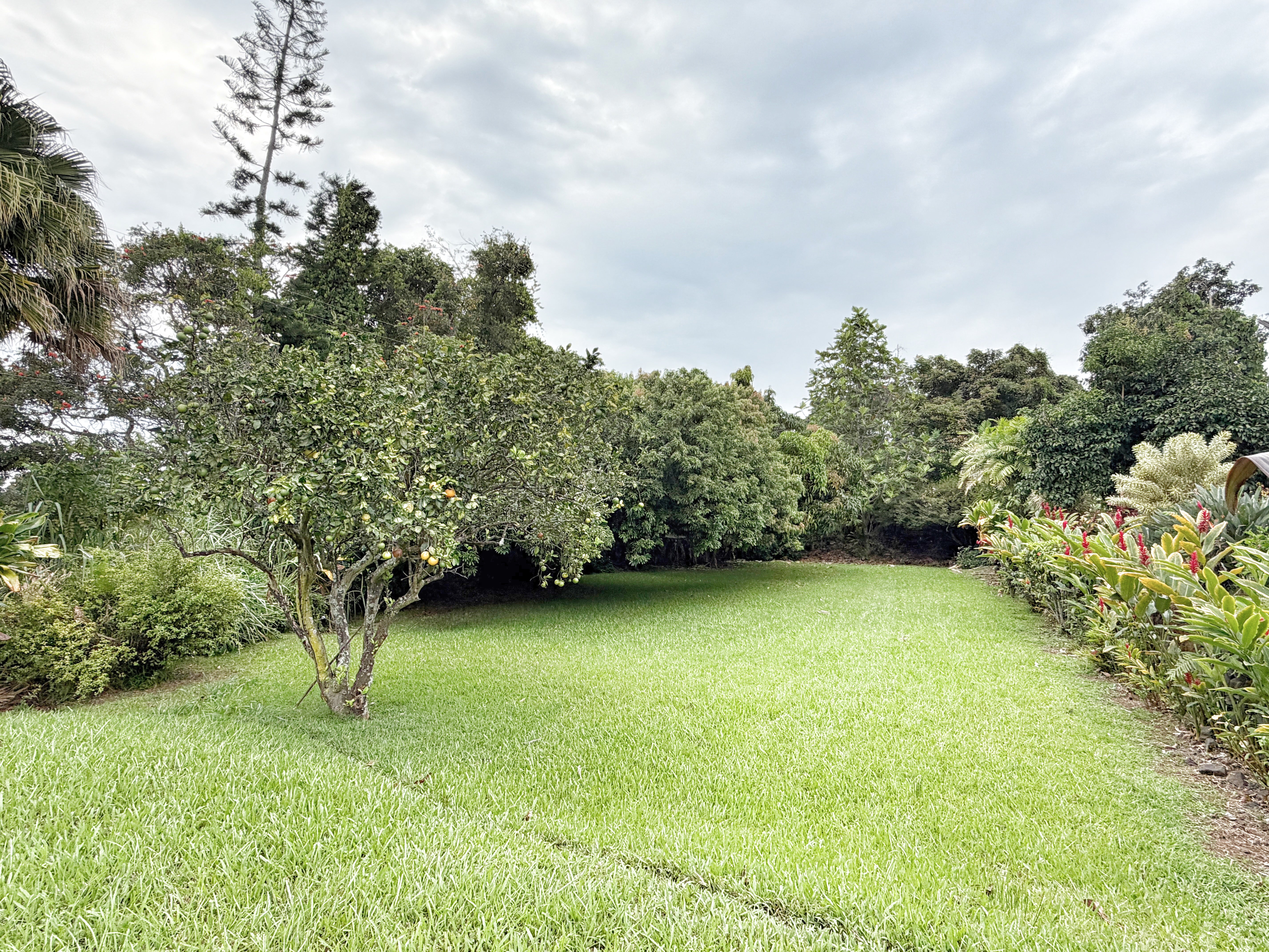 81-1027 KONAWAENA SCHOOL RD