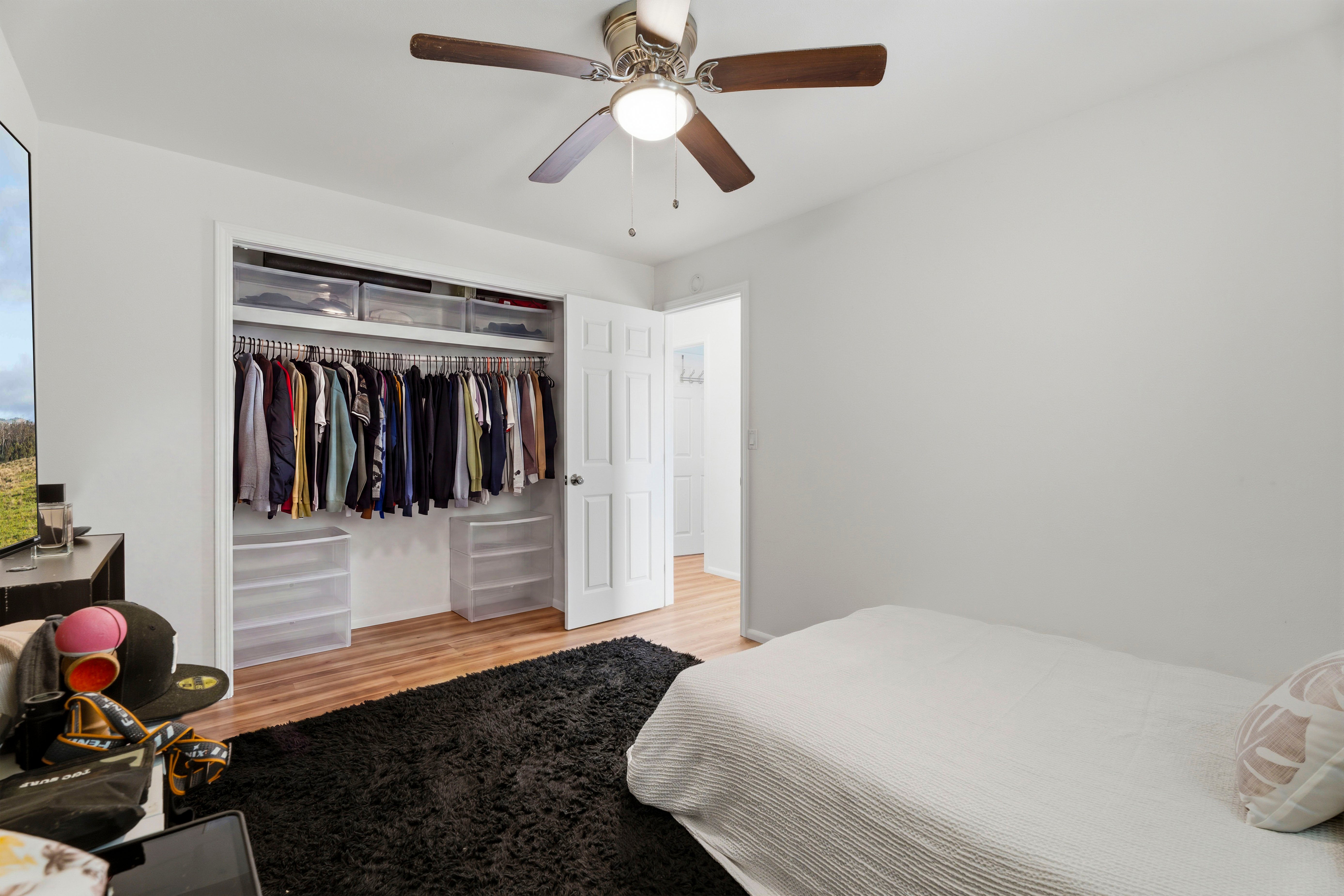 1481 MONA LOOP