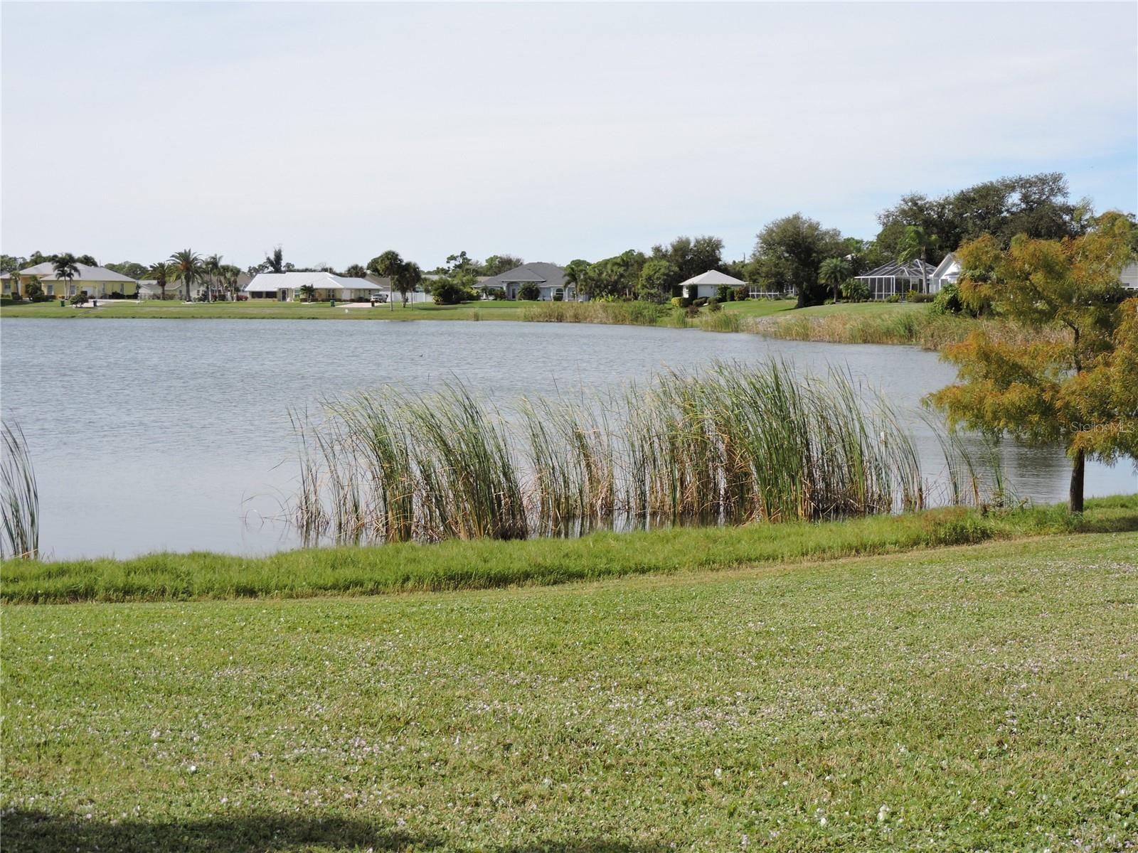 8170 CASA DE MEADOWS DR