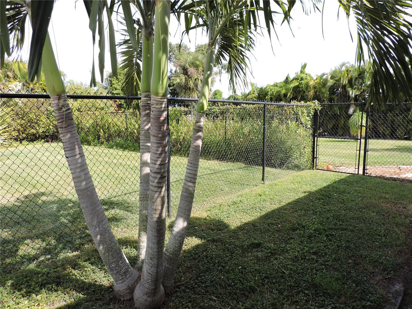 8170 CASA DE MEADOWS DR