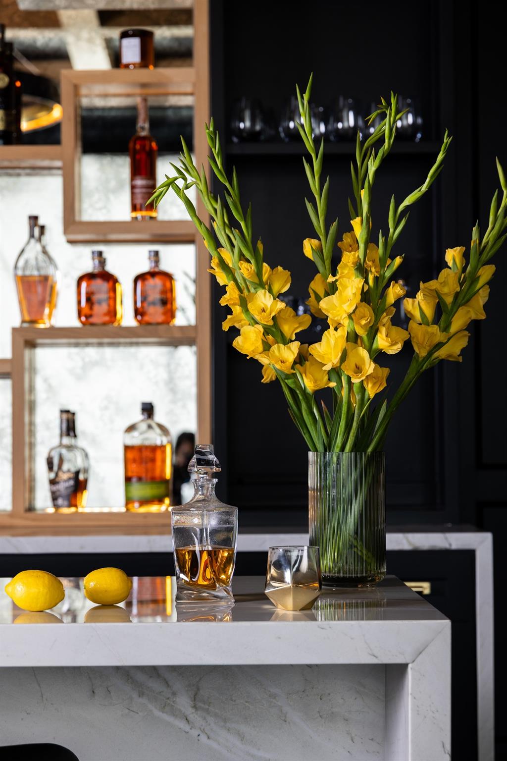 23314 Vista De Tres Lagos Drive, Spring