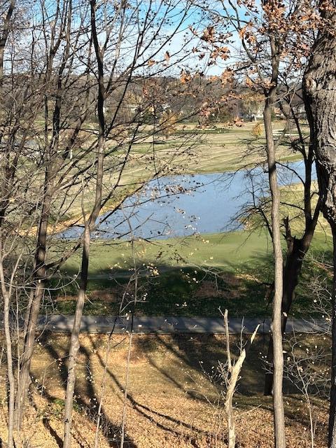 10752 Mount Curve Road