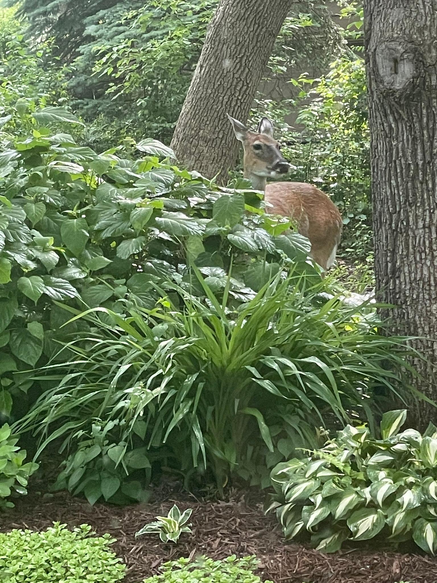 14930 Richards Drive W