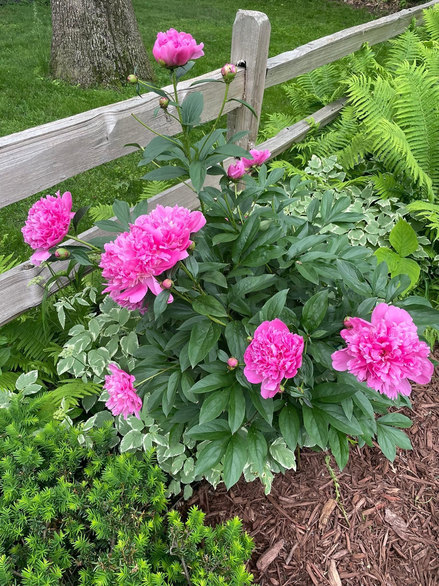 14930 Richards Drive W