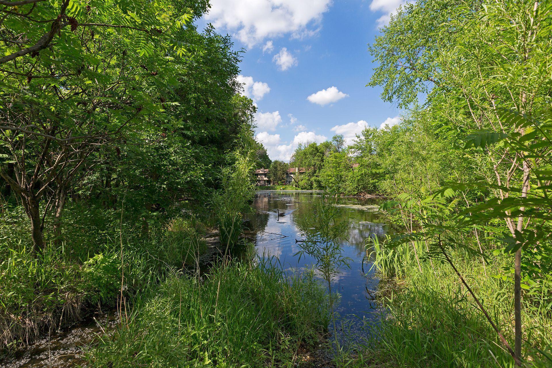 1517 Black Oaks Place N